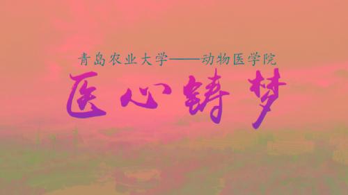 医心铸梦--2018年伟德victor1946教学科研宣传片